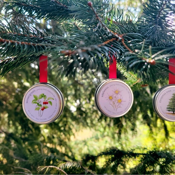 NWT >> Christmas Tree Seed Sprinkling Ornament - Picture 2 of 2